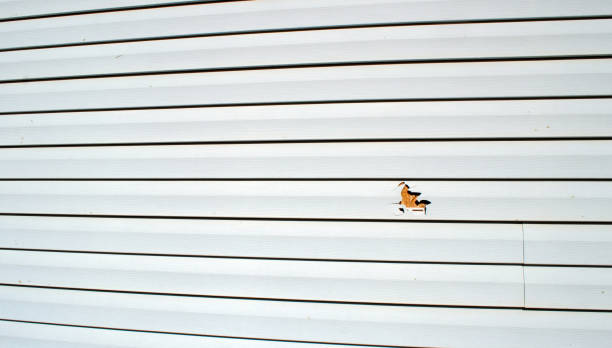 Best Storm Damage Siding Repair  in Ampere North, NJ