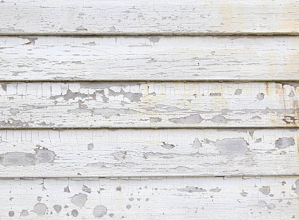 Best Siding for New Construction  in Ampere North, NJ