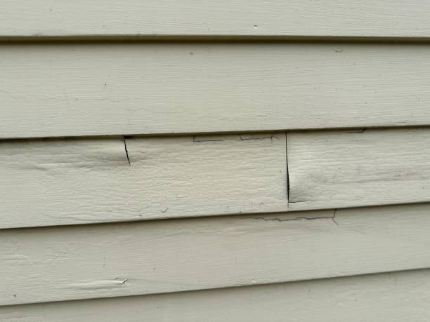 Affordable siding repair and maintenance services in Ampere North, NJ